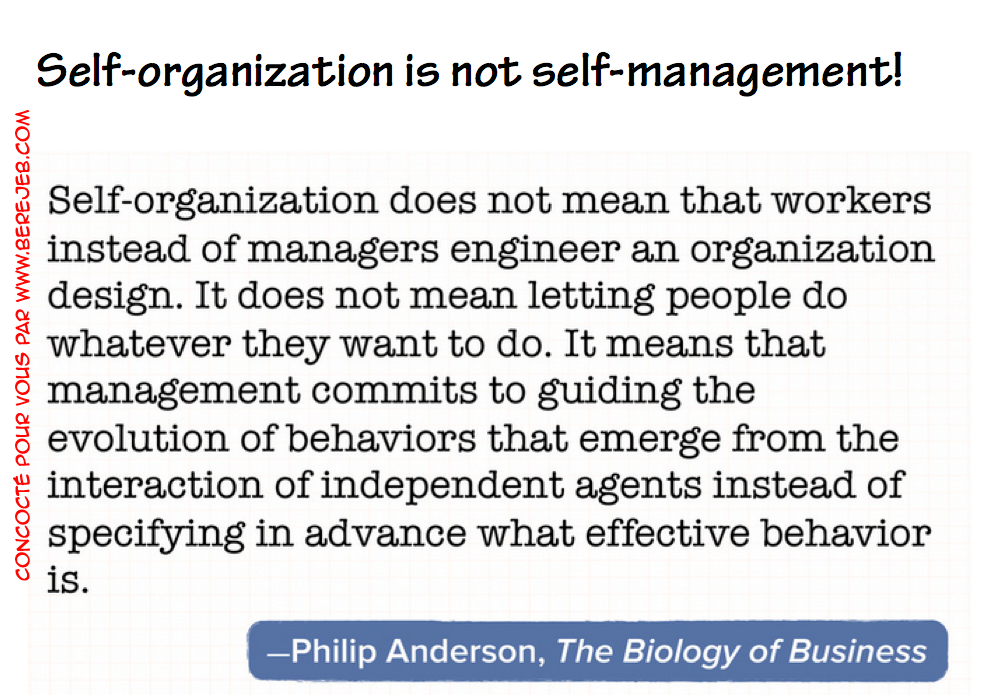 quote-self-organization