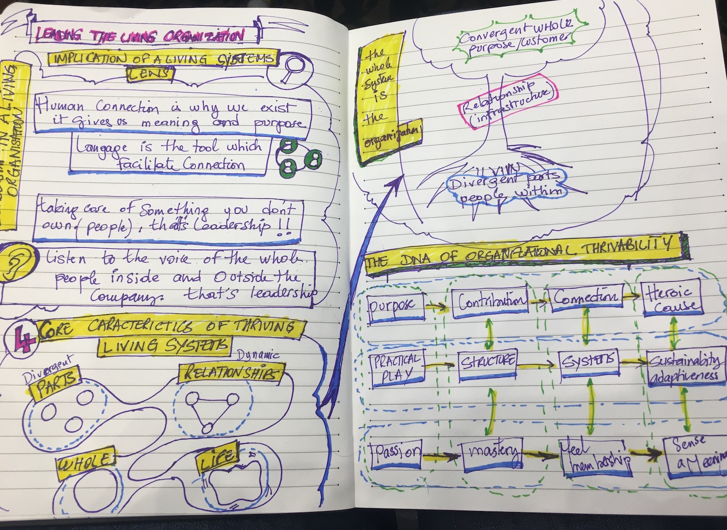 Leading_the_living_organization